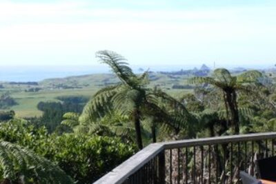 The View from our Lodge in Taranaki
