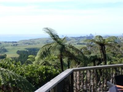 The View from our Lodge in Taranaki