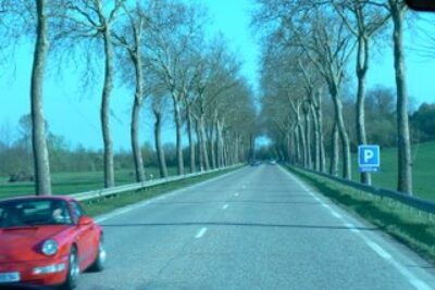 The Straight Roads of Burgundy