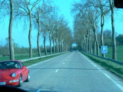 The Straight Roads of Burgundy