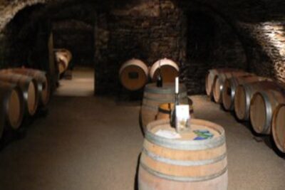 Inside the Cave: Tasting Pinot Noirs in Burgundy