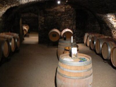 Inside the Cave: Tasting Pinot Noirs in Burgundy