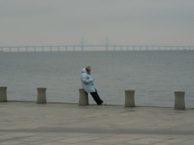 The Oresund Bridge: Malmo’s Secret Weapon