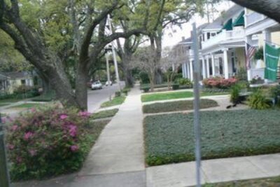 Sweet Home Alabama…In a Good Way!