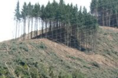Denuded NZ Hillsides Shock the Tourists