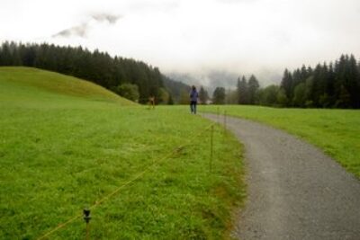 Bike Trails Abound Because People Want Them