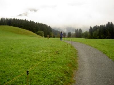 Bike Trails Abound Because People Want Them