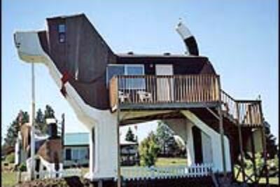 Who Wouldn’t Want to Stay at the Beagle B&B?
