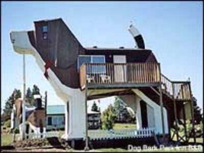 Who Wouldn’t Want to Stay at the Beagle B&B?