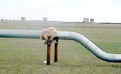 The Lure of the Alaska Pipeline