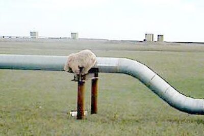The Lure of the Alaska Pipeline