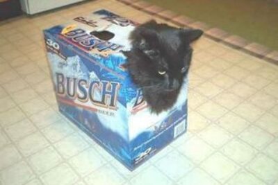 From Kentucky Come Photos of Redneck Things
