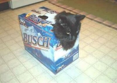 From Kentucky Come Photos of Redneck Things