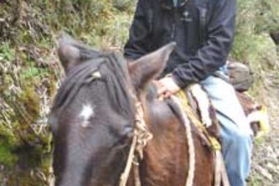 Peter Heller Goes Horseback in Patagonia