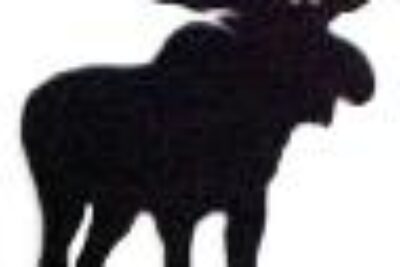 Spotting a Moose….or Did We?