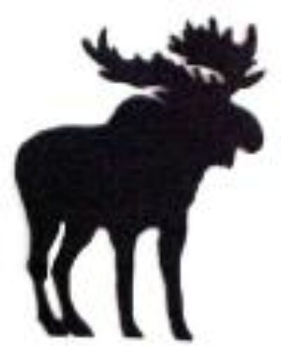 Spotting a Moose….or Did We?