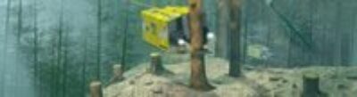 The Sawfish Grabs the Logs Underwater