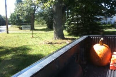 Rambling Around South Hadley to Find Flowers