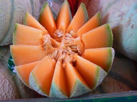 Some of My Favorite Places