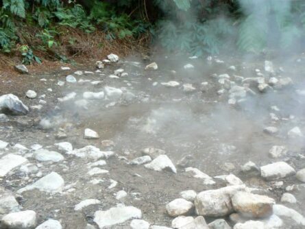 The bubbling cauldron at the Caleira Velha, near Ponta Delgado, Azores.