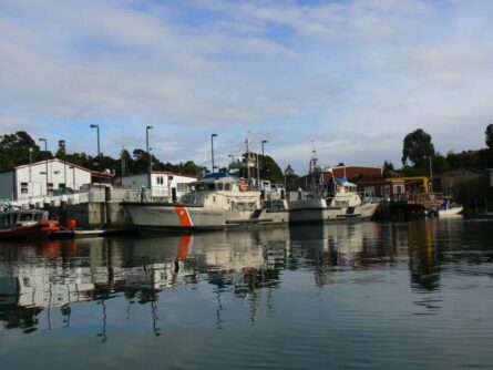 Paddling the Noyo River in Fort Bragg CA.