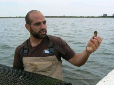 Perry Raso shows us a young oyster in Potter