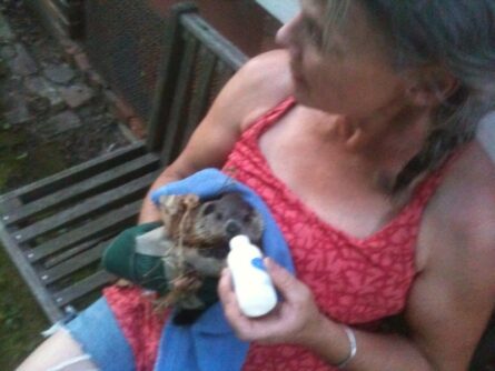 You’d Be Amazed At What You Find at the Dump, She Told Me