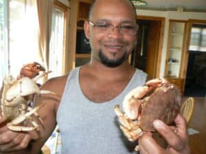 Stone crabs in Maine.