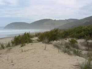 Along the Great Ocean Road, Sea Changers are Spotted