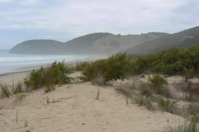 Along the Great Ocean Road, Victoria, Australia