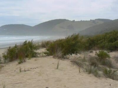 Along the Great Ocean Road, Victoria, Australia