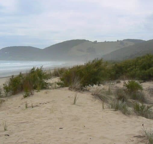 Along the Great Ocean Road, Victoria, Australia