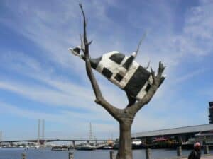 Images of Melbourne: A Vibrant, Eco-friendly City