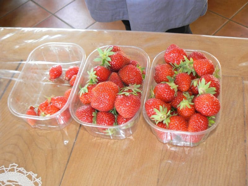Three varieties of strawberries grown in Southwest France.