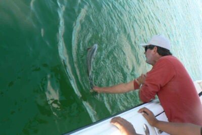 Ben Garfield of Go Fish Charters, S. Portland, Maine, nets a striper.