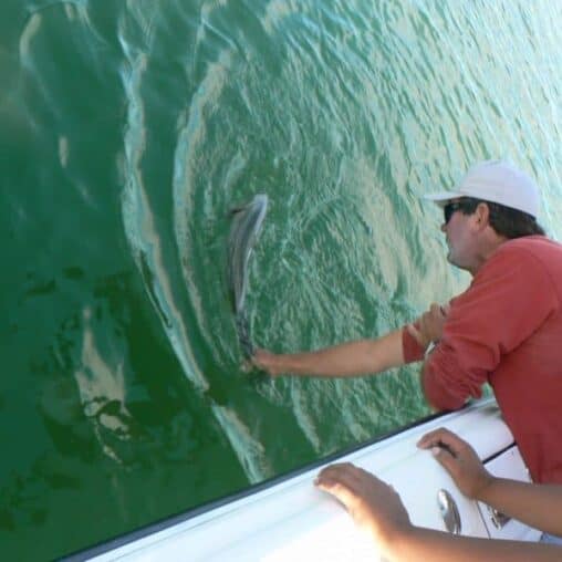 Ben Garfield of Go Fish Charters, S. Portland, Maine, nets a striper.