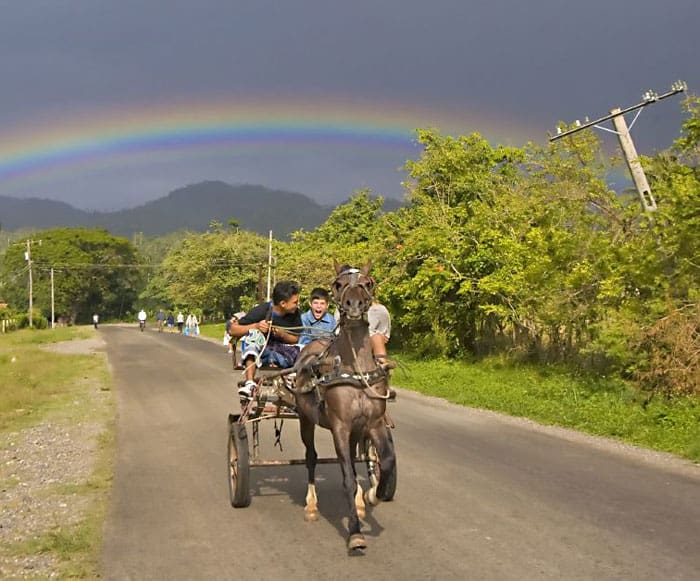 Horsecart in Cuba. photo by Matthew Kadey, GoNOMAD.com