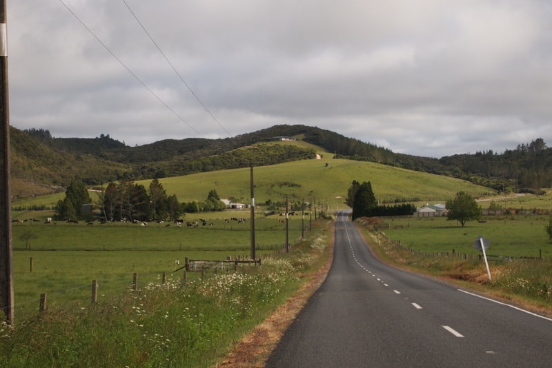 Driving the country roads of the Northlands, New Zealand.