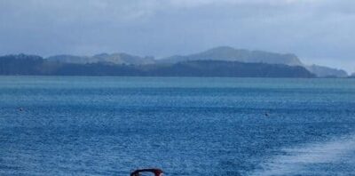Paihia, New Zealand evening.