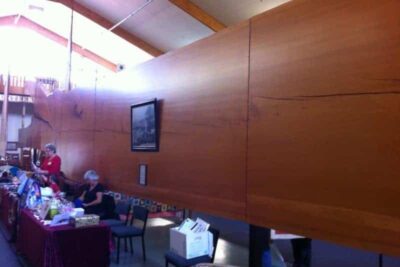 A massive Kauri tree slab at the Kauri Museum in Northland, New Zealand.