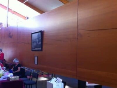 A massive Kauri tree slab at the Kauri Museum in Northland, New Zealand.