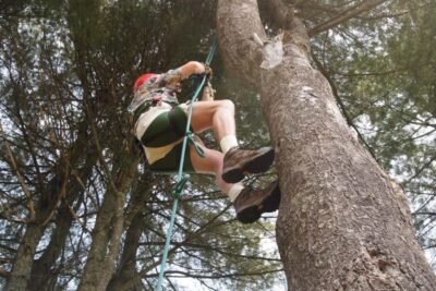 Twin Pines Recreational Tree Climbing Center in Danville, VT.