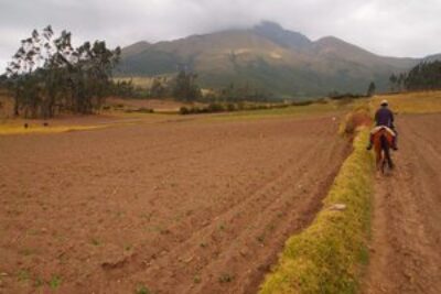 Juan Carlos leads a ride in farm fields in Ecuador.
