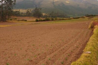 Juan Carlos leads a ride in farm fields in Ecuador.
