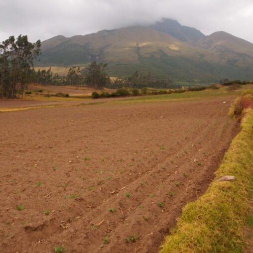 Juan Carlos leads a ride in farm fields in Ecuador.