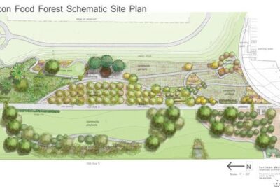 A diagram of the Beacon Food Forest, to be built in Seattle, where people can forage food for free.