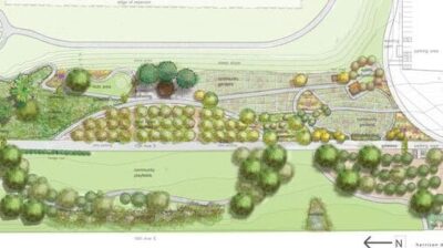 A diagram of the Beacon Food Forest, to be built in Seattle, where people can forage food for free.