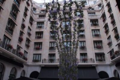 There is no limit to the flowers you