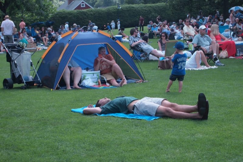 zzzz on the lawn.