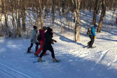 A fun activity in the city is to explore Mount Royal Park on snowshoes.